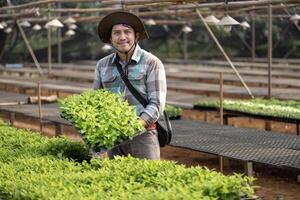 Aziatisch boer is draag- dienblad van jong groente salade zaailing naar fabriek in de bodem voor groeit organische stoffen fabriek gedurende voorjaar seizoen en landbouw foto