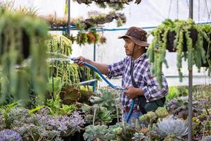 Aziatisch tuinman is gieter de sappig fabriek binnen zijn kas gebruik makend van slang voor hobby en sier- tuin bedrijf foto