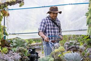 Aziatisch tuinman is gieter de sappig fabriek binnen zijn kas gebruik makend van slang voor hobby en sier- tuin bedrijf foto