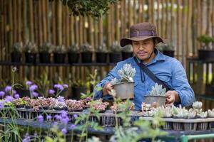 Aziatisch tuinman is werken binnen de voortplanting plank tafel Bij kinderkamer tuin centrum voor sappig inheems en exotisch fabriek teler foto