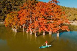 antenne visie met vrouw Aan peddelen bord Aan de meer met helder herfst- bomen in water foto