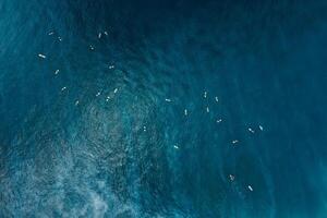 antenne visie van surfers Aan lijn omhoog in oceaan aan het wachten golven Bij Bali eiland. top visie foto