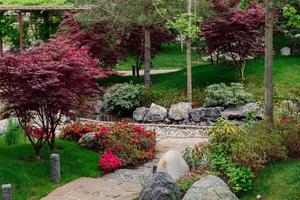 Japans tuin in krasnodar galitsky park. traditioneel Aziatisch park met rood Acer bomen foto