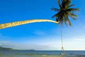 palm boom met hout schommel Aan tropisch strand voor reizen in vakantie kom tot rust tijd foto