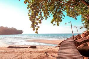 mooi zonsondergang tropisch strand. houten brug met boom en blauw lucht voor reizen in vakantie kom tot rust tijd, foto stijl wijnoogst