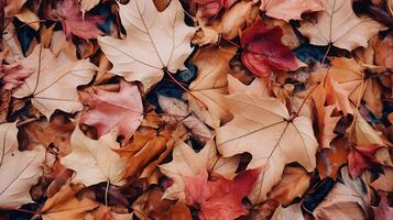 herfst achtergrond met een veel van kleurrijk gedaald bladeren bezetten allemaal de ruimte foto