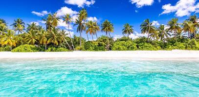 strand toevlucht landschap, keerkring surfen en horizontaal zee net zo zomer vakantie. kom tot rust luxe toevlucht toerisme achtergrond. verbazingwekkend lucht visie, ongerept blauw zee, exotisch reizen bestemming. palm boom wit zand foto