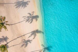 strand kokosnoot palm bomen Aan exotisch kust vogelstand oog visie. turkoois zee golven wit zand antenne fotografie. panoramisch ecologie natuur achtergrond. tropisch paradijs reizen landschap exotisch bestemming foto