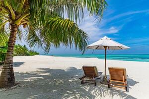 verbazingwekkend strand. romantisch stoelen paraplu Aan zanderig strand palm bladeren, zon zee lucht. zomer vakantie paren vakantie. liefde gelukkig tropisch landschap. rustig eiland kust kom tot rust mooi landschap toerisme foto