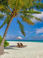 exotisch strand tafereel, fantastisch landschap en blauw lucht. parasol, lounge stoelen met tropisch strand tafereel, palm bomen en een romantisch ga weg koppels. strand huwelijksreis concept, banier foto