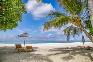 verbazingwekkend strand. romantisch stoelen paraplu Aan zanderig strand palm bladeren, zon zee lucht. zomer vakantie paren vakantie. liefde gelukkig tropisch landschap. rustig eiland kust kom tot rust mooi landschap toerisme foto