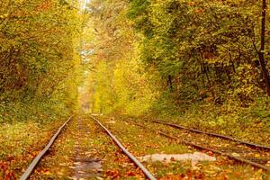 herfst Woud door welke een oud tram ritten Oekraïne foto