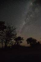 mooie lucht 's nachts met melkweg. namibië, zomer. foto