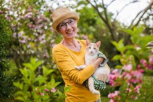 portret van gelukkig senior vrouw Holding haar schattig kat terwijl tuinieren in tuin. foto