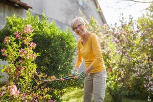 gelukkig senior vrouw tuinieren. ze is snoeien bloemen. foto