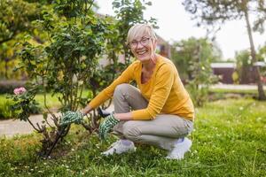 gelukkig senior vrouw tuinieren in haar tuin. ze is gebruik makend van hark. foto