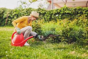 senior vrouw geniet tuinieren planten met haar schattig kat. foto