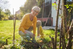 gelukkig senior vrouw tuinieren in haar tuin. ze is gebruik makend van hark. foto