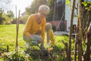 gelukkig senior vrouw tuinieren in haar tuin. ze is gebruik makend van hark. foto