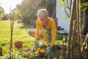 gelukkig senior vrouw tuinieren in haar tuin. ze is gebruik makend van hark. foto