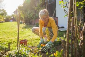 gelukkig senior vrouw tuinieren in haar tuin. ze is gebruik makend van hark. foto