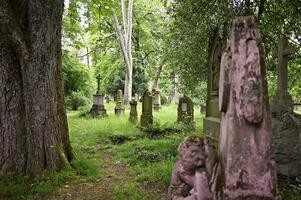 oud verweerd begraafplaats met grafstenen dat zijn Bij minst 130 jaren oud foto