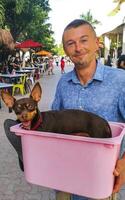 gelukkig Mens met hond in een roze doos in playa del carmen Mexico. foto