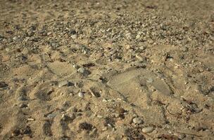 textuur van het zand van Zuid-Sardinië foto