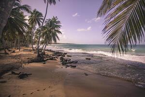 playa limon in dominicaanse republiek 14 foto