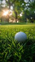 golf bal resting Aan weelderig groen veld- foto