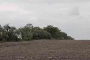 natuur landschap foto