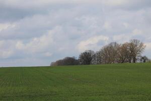 natuur landschap foto