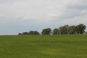 natuur landschap foto