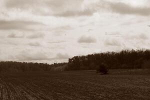 natuur landschap foto