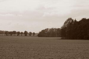 natuur landschap foto