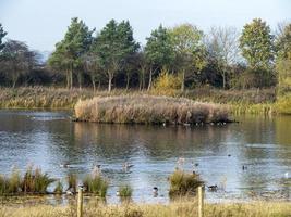 wetlandhabitat op tophill low, oost yorkshire, engeland foto