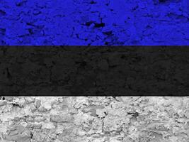 Estland vlag met structuur foto