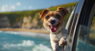 hond genieten van auto rijden met hoofd uit venster foto