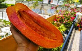 voor de helft papaja in hand- met achtergrond in Mexico. foto