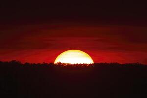 rood lucht zonsondergang over- bomen foto