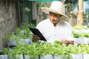 Aziatisch Mens tuinman is controle en inspecteren kwaliteit, groei en fabriek ziekten van biologisch salade groenten door gebruik makend van slim tablet. concept, landbouw Onderzoek. leren van internet naar ontwikkelen gewassen. foto