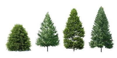 verzameling mooi 3d bomen geïsoleerd Aan wit achtergrond , gebruik voor visualisatie in bouwkundig ontwerp of tuin versieren foto