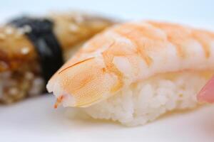 twee garnaal nigiri sushi sushi met paling Aan wit achtergrond met reflectie foto