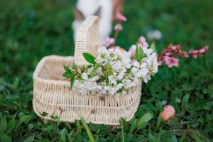 een mand gevulde met wit bloemen en een konijn foto