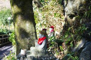 standbeeld van een monnik onder een boom in nanzoine tempel in fukuoka foto