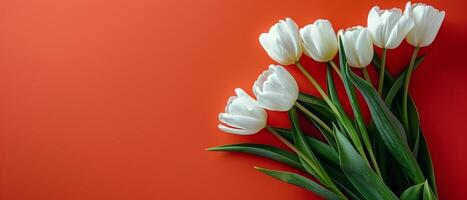 boeket van wit tulpen Aan oranje achtergrond foto