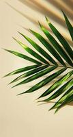 een single palm blad afgietsels een schaduw Aan een beige achtergrond foto