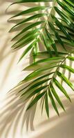 een single palm blad afgietsels een schaduw Aan een beige achtergrond foto