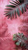 roze palm blad schaduwen Aan een roze achtergrond foto