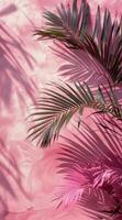 roze palm blad schaduwen Aan een roze achtergrond foto